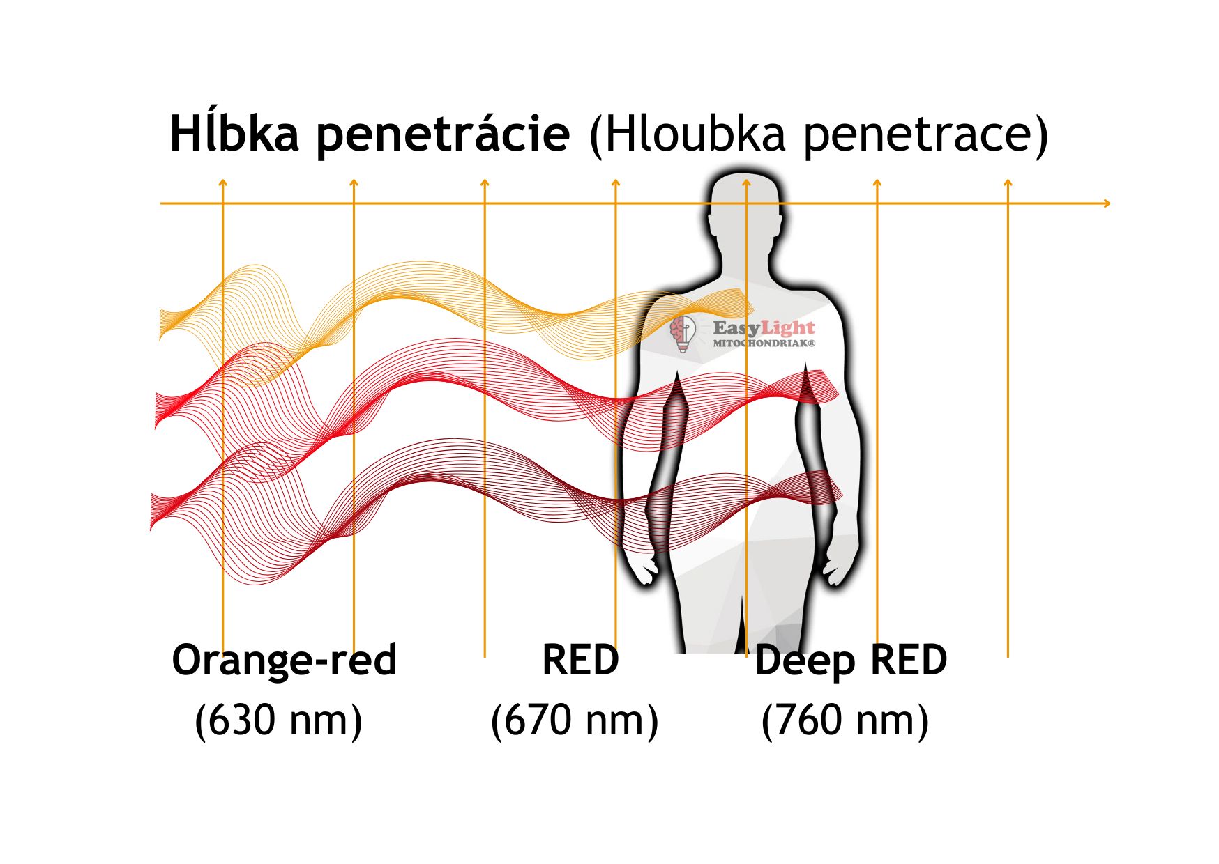 Mitochondriak® light therapy